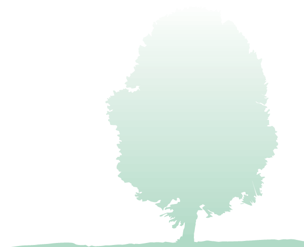 Tree Image